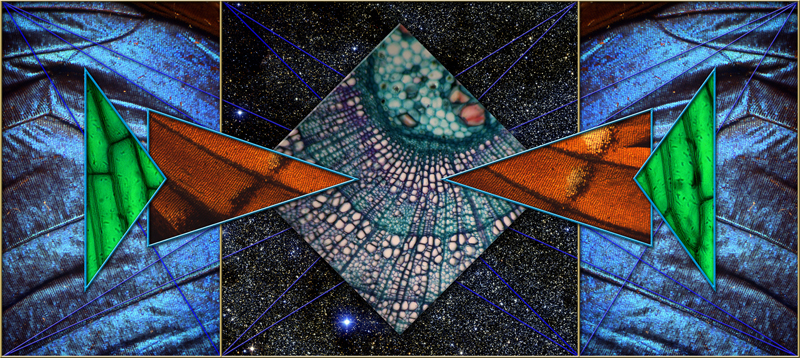 JPG image of new collage inspired by the Golden ratio, the golden rectangle, sacred geometry and the fractal structure of nature by artist Doug Craft - click to enter the Doug Craft Fine Art website